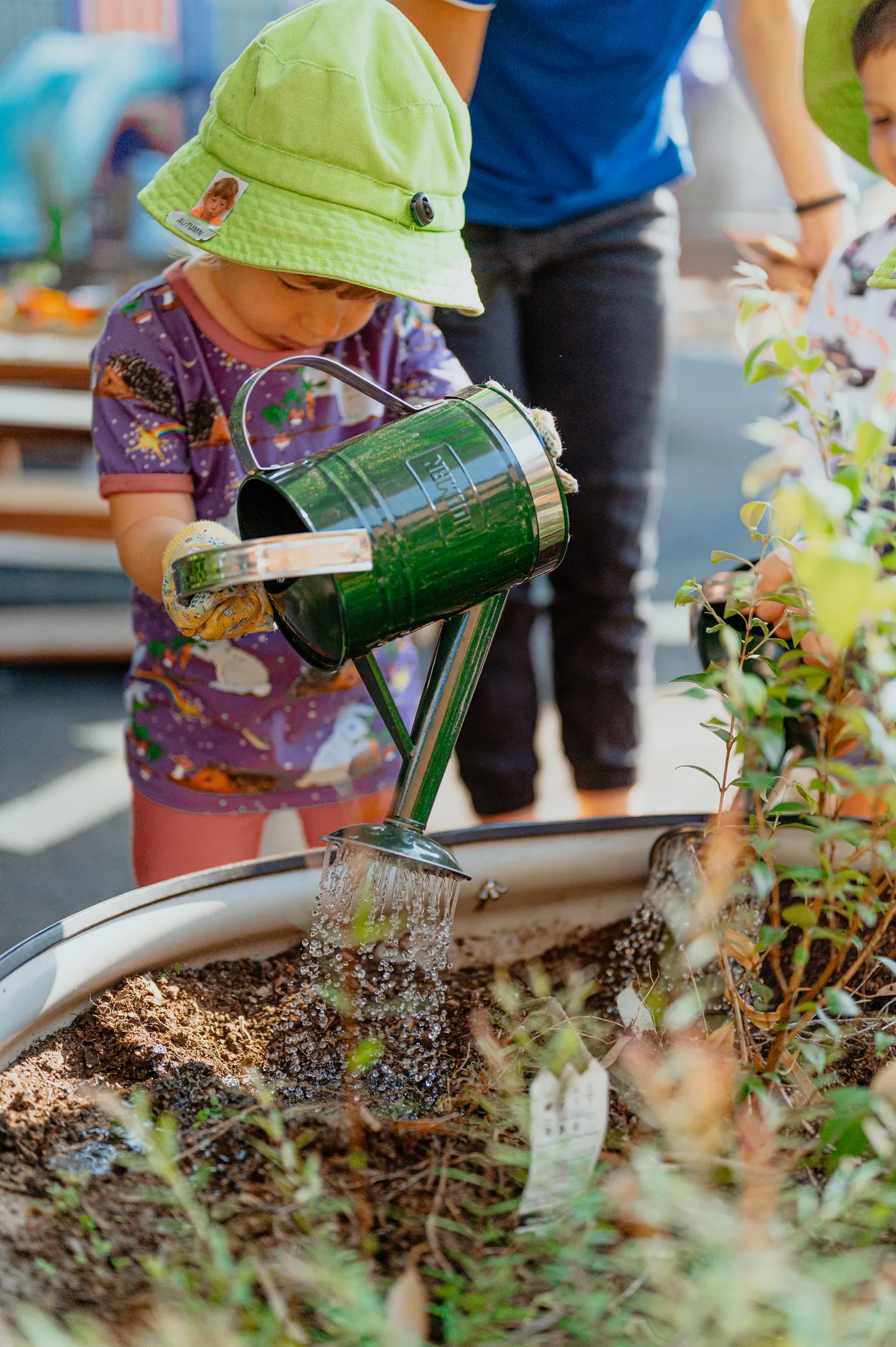 A child in a green Bambini hat and a gardening glove tipping a watering can over the raised garden bed